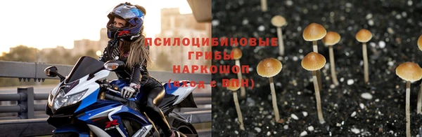 спайс Алексин
