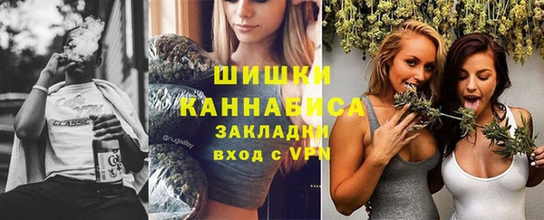 шишки Алзамай