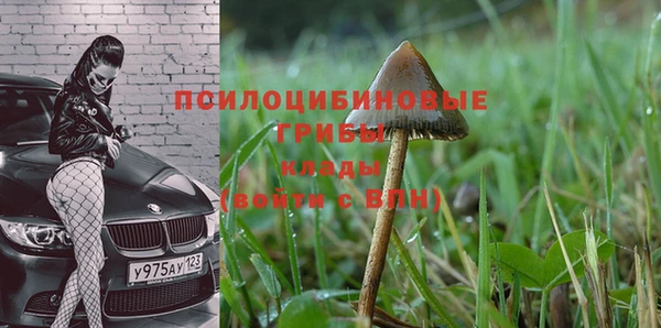 спайс Алексин
